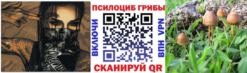 Галлюциногенные грибы прущие грибы  Нововоронеж 